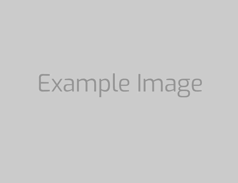 Sample Gallery 4 (Videos)